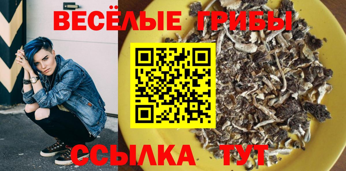 Ногинск  Псилоцибиновые грибы MAGIC MUSHROOMS  купить закладку  Вход с VPN 
