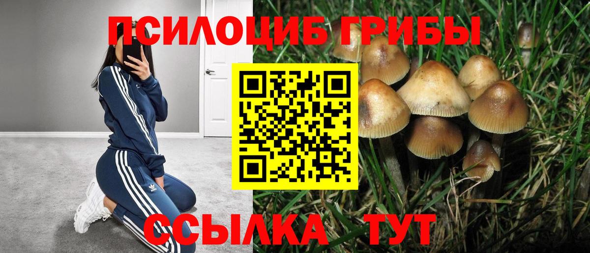 Псилоцибиновые грибы прущие грибы Ногинск